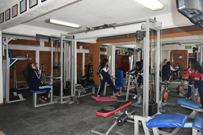 GIMNASIO