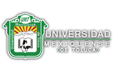 UNIVERSIDAD MEXIQUENSE DE TOLUCA